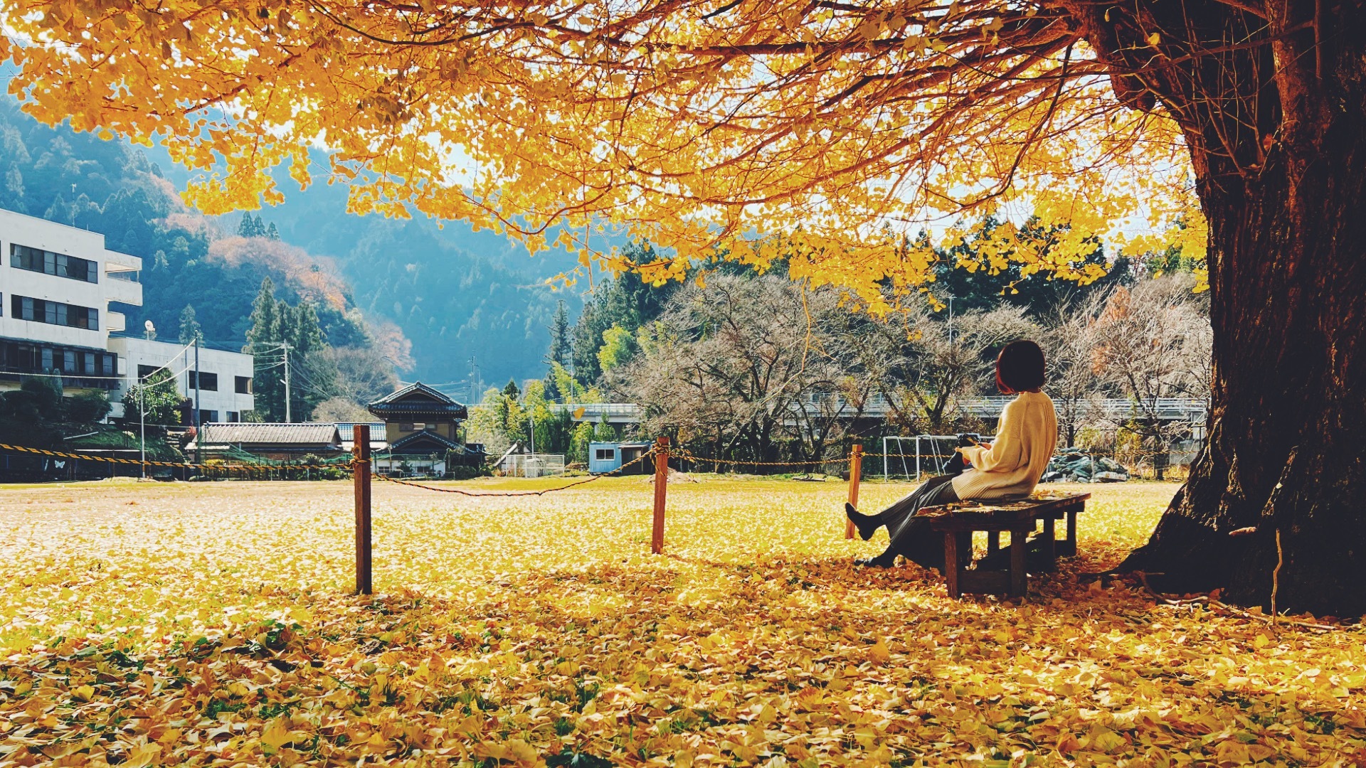 木屋平SC_イチョウ_スマホ